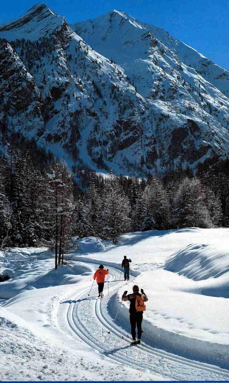 Hotel Tavernier Courmayeur Exteriör bild
